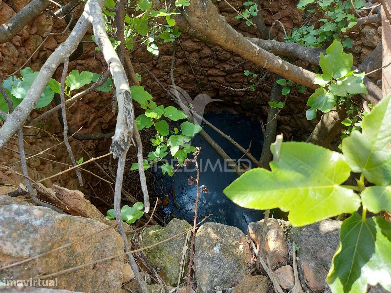 Terreno agrícola 2600m2 com árvores e água em Silves - Grande imagem: 5/17