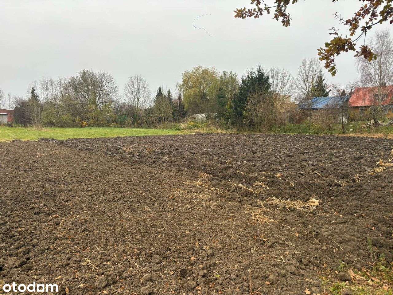 Działka z Warunkami zabudowy - Pełny obrazek: 4/8