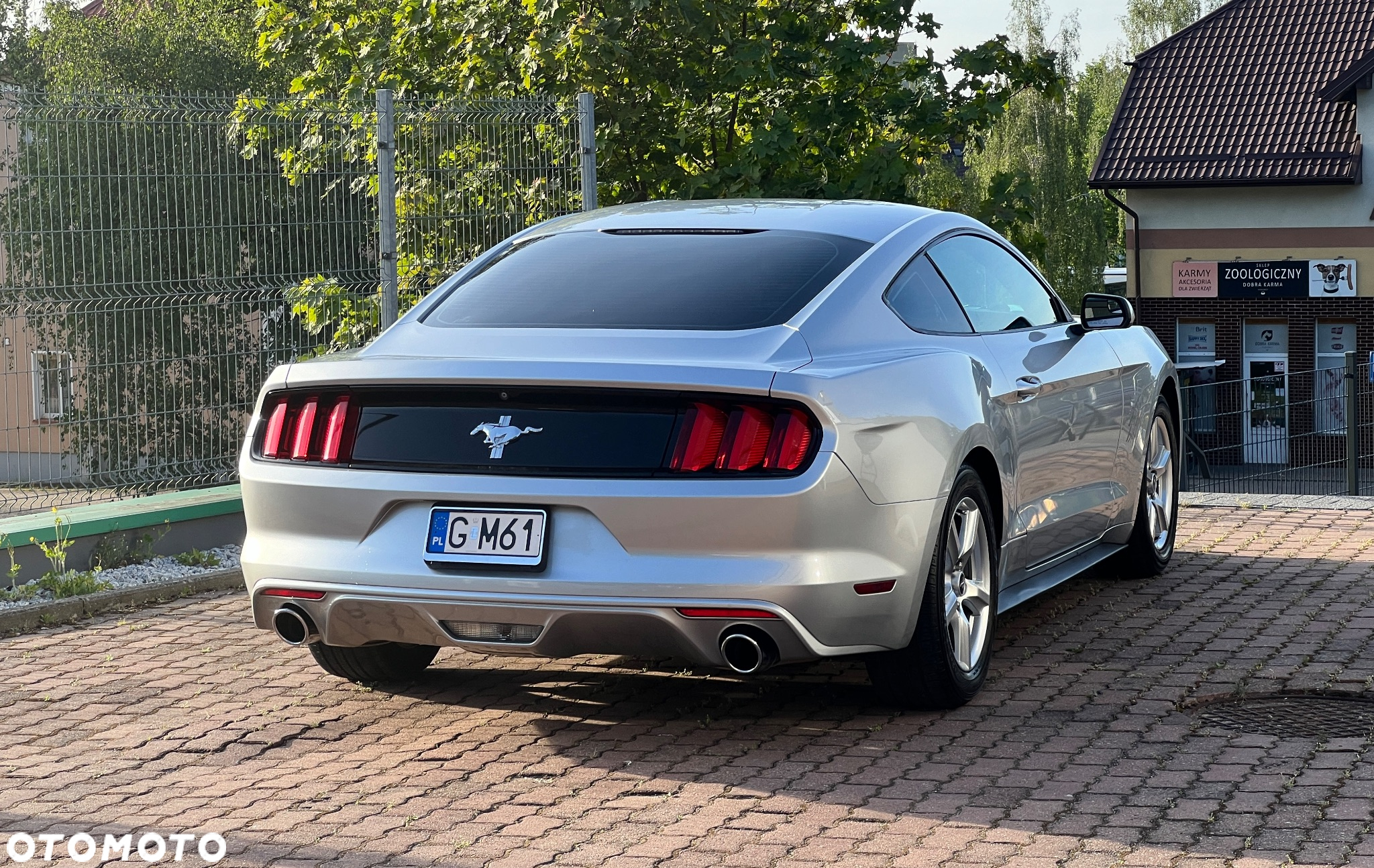 Ford Mustang 3.7 V6 - 7