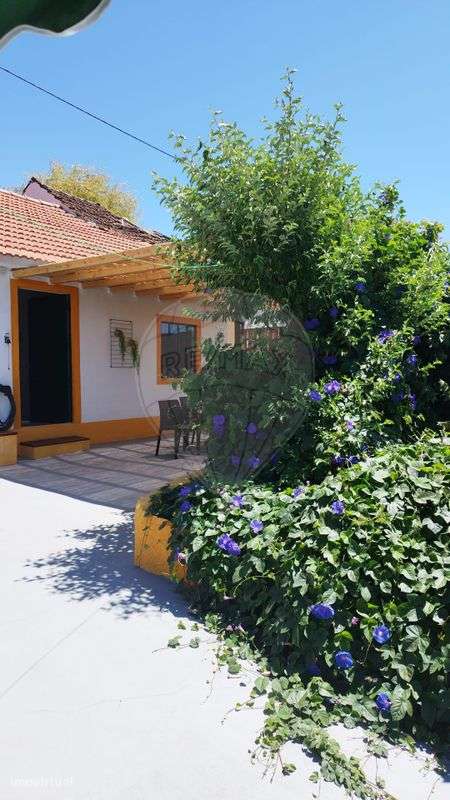 Moradia T3 para venda - Grande imagem: 4/29