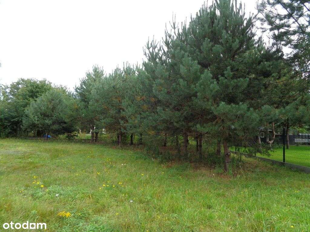 Działka budowlana w pobliżu Kampinoskiego P. N.-8