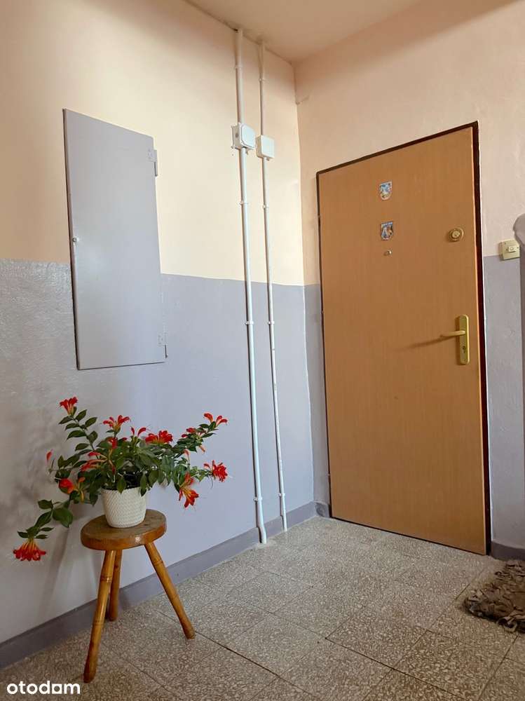 Mieszkanie 54 m² + piwnica 15 m² – idealne dla rodziny lub pod inwesty-10