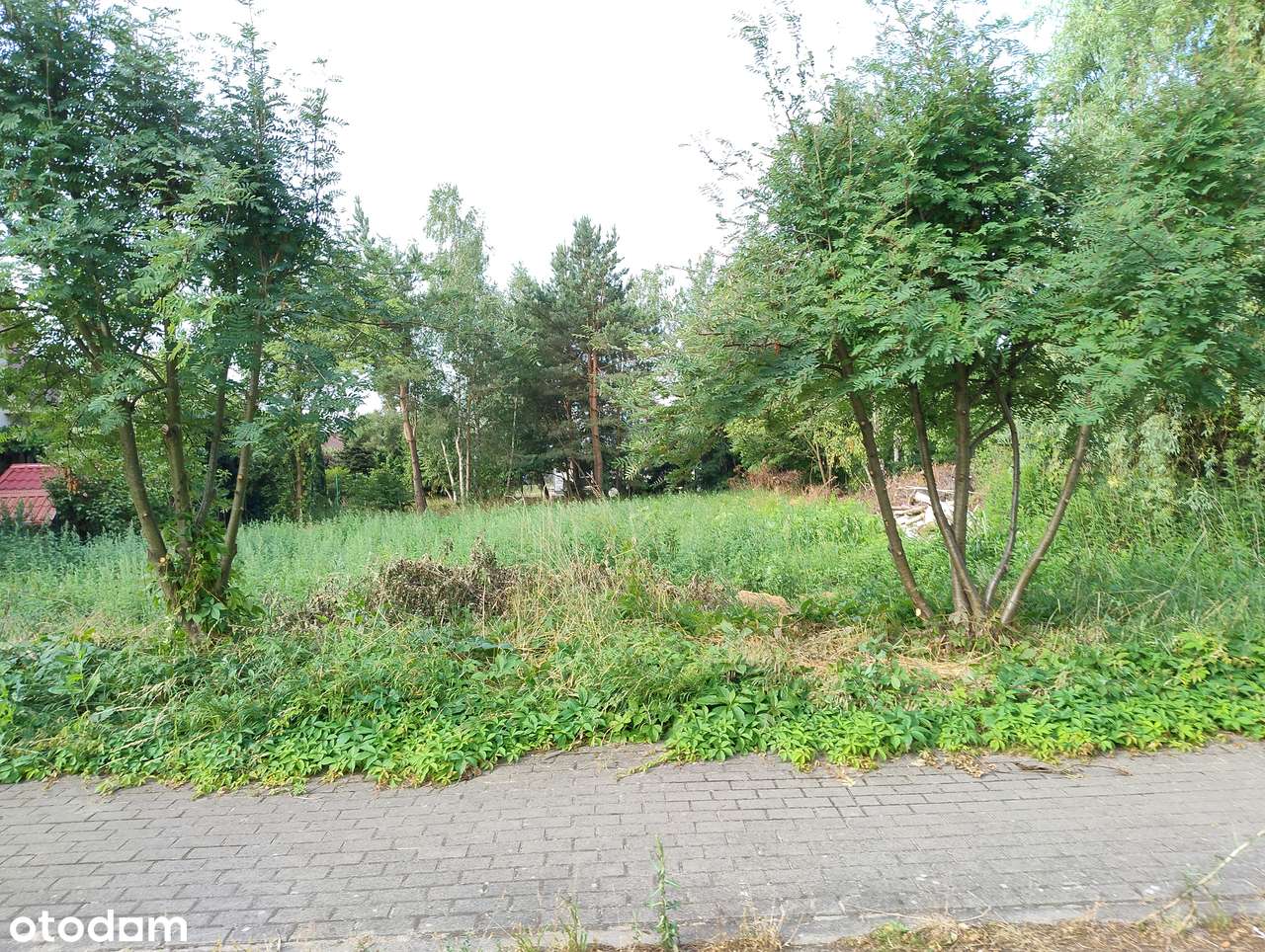 Atrakcyjna działka budowlana 914m2 - Mokre k. Grudziądza-5