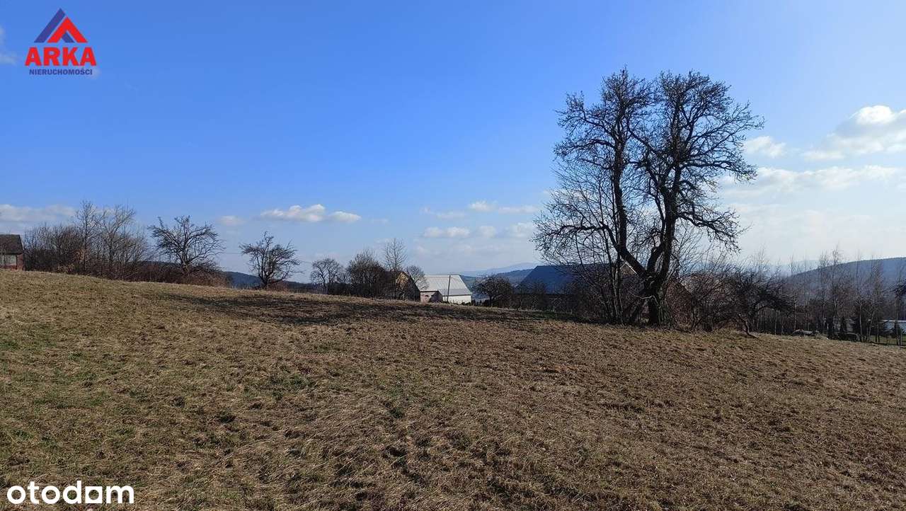 Widokowa działka z WZ – południowy stok, panorama - Pełny obrazek: 3/7