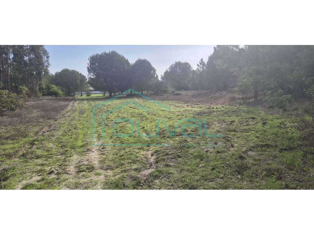 Terreno Foros da Charneca - Grande imagem: 2/12