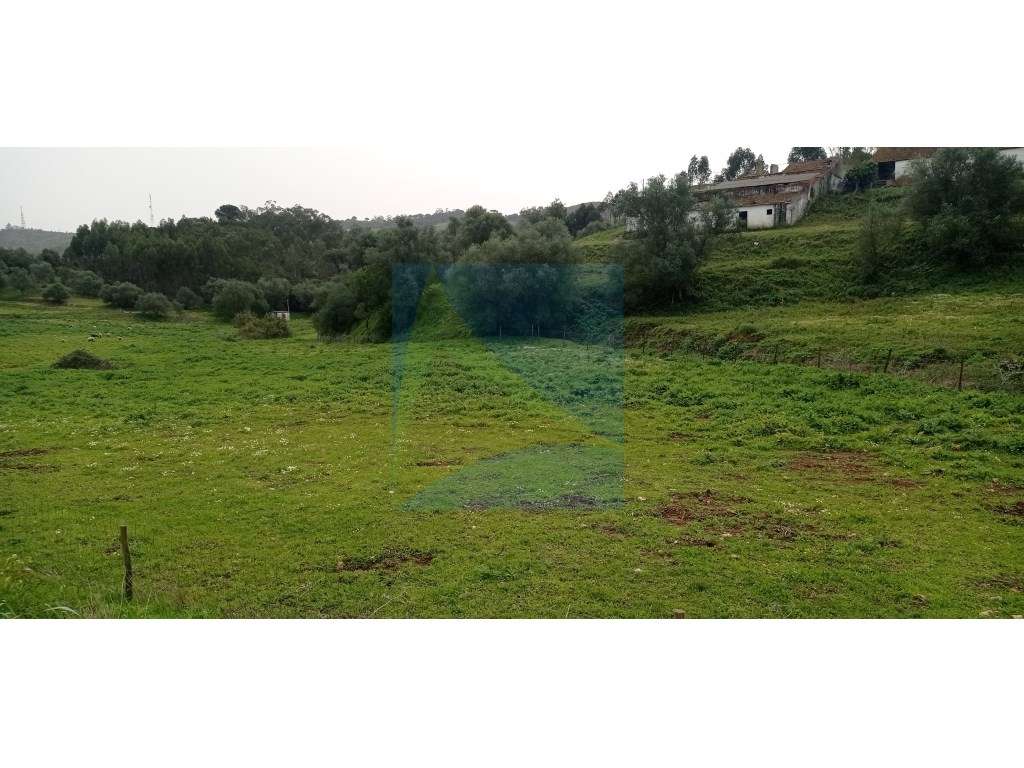 Herdade em Plena Serra da Arrábida 340.000 m2-10
