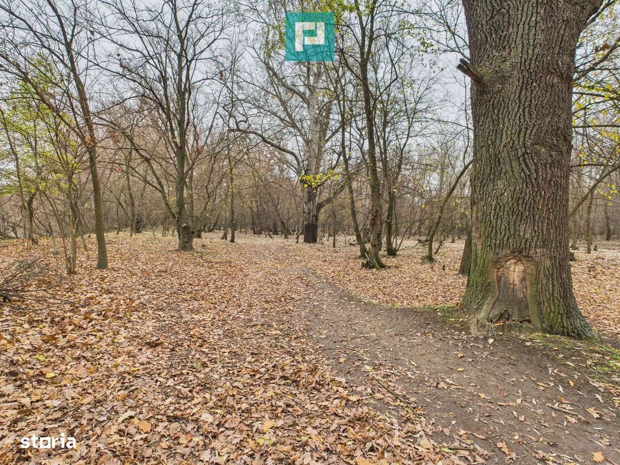 Teren pe malul Muresului- oportunitati multiple - Imagine principală: 5/20