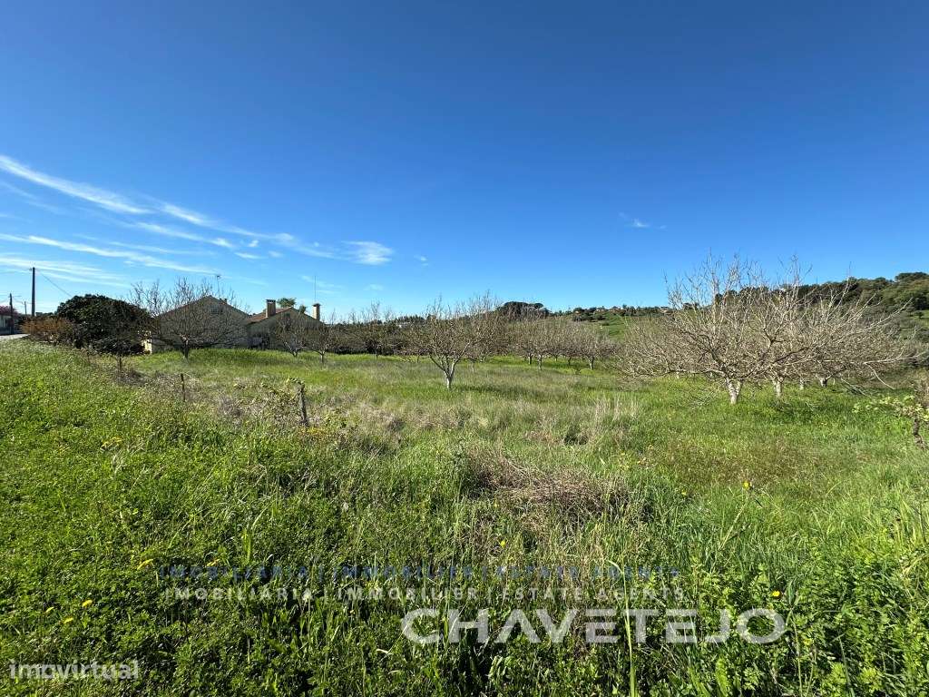 Terreno com 5.840 m2 a 5 km de Tomar. - Grande imagem: 2/10