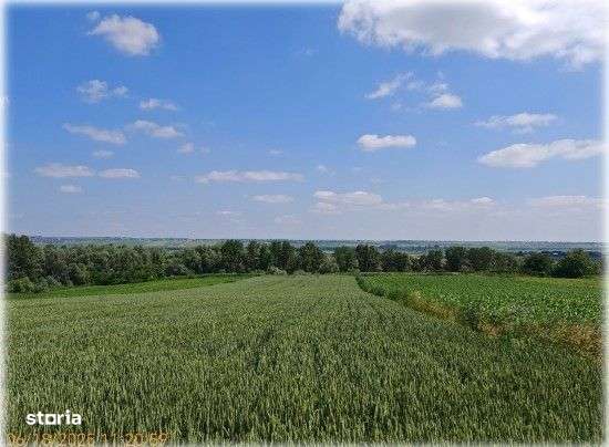 Teren extravilan Bosanci, ID: R2649417 - Imagine principală: 5/9