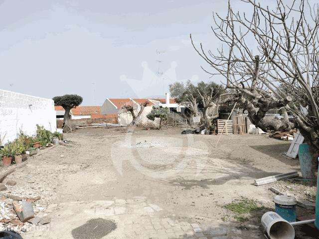 Moradia renovada com grande quintal - Perolivas-13