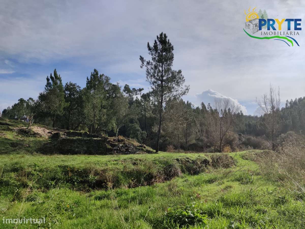 Ruína a confinar com Ribeira-15