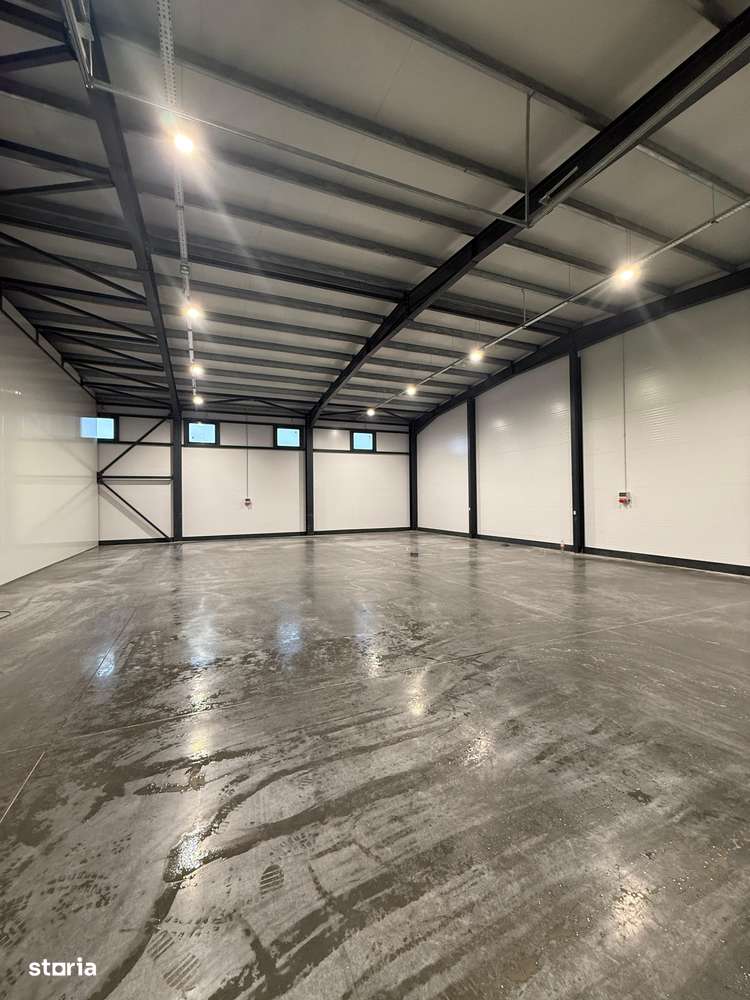 Hala de inchiriat in Sanleani - Imagine principală: 4/9