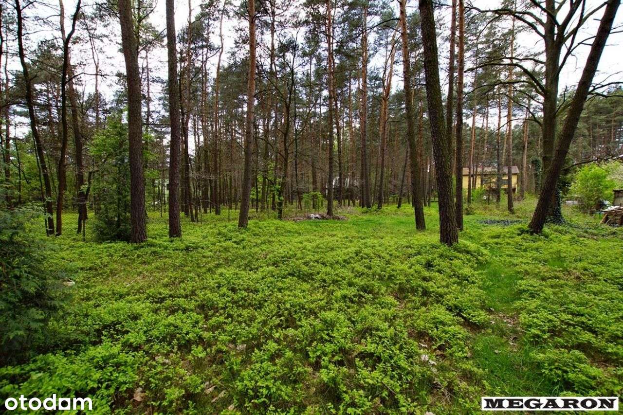 Duża działka budowlana w Żarkach Letnisko - Pełny obrazek: 5/12