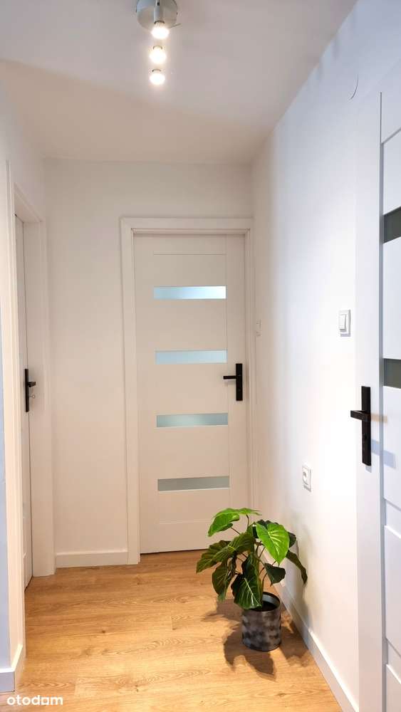 Ładne 2 – pok. m. po remoncie w świetnej lokalizacji na Ogrodach!-13