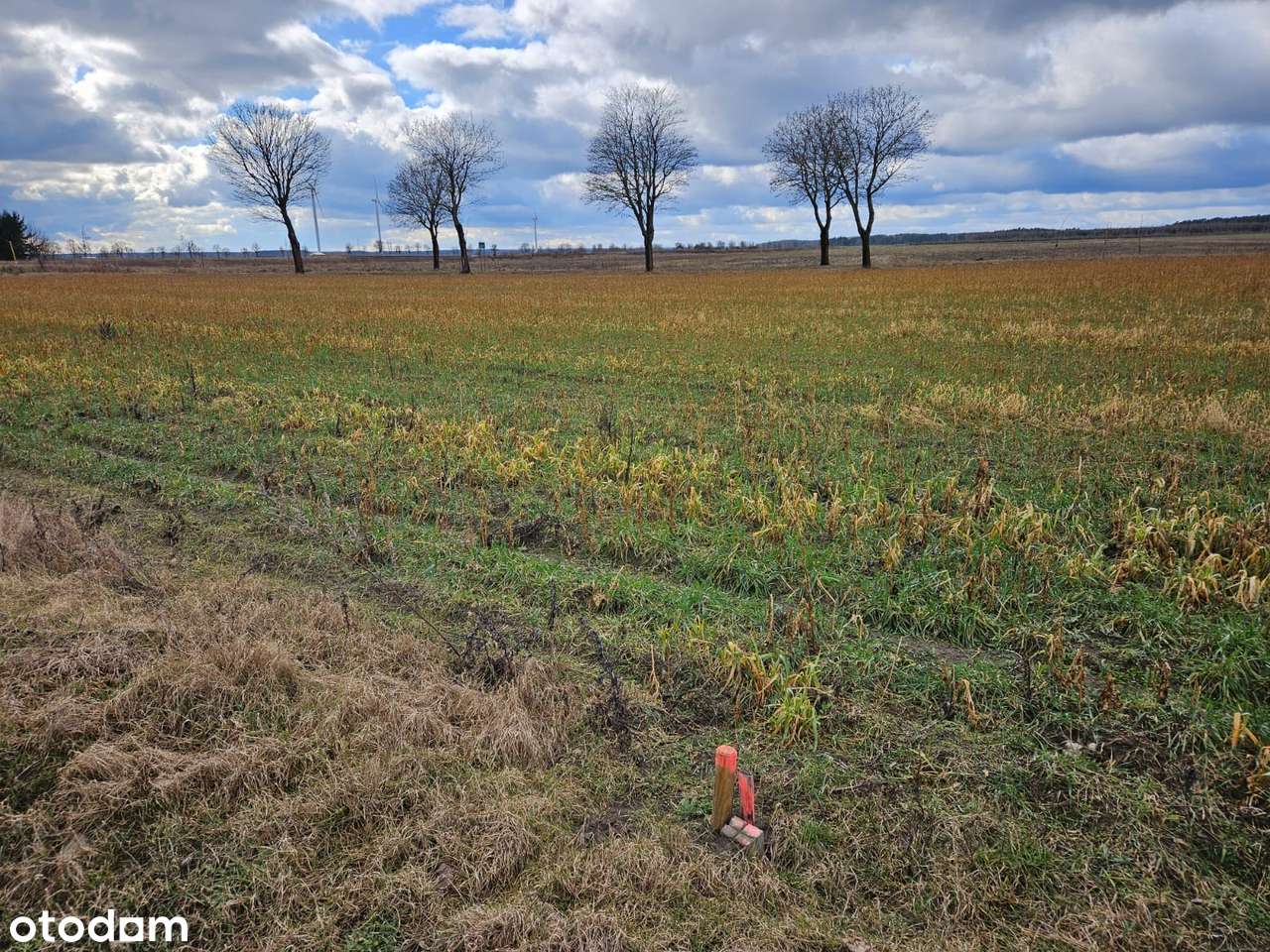 Działka budowlana w Białej-14