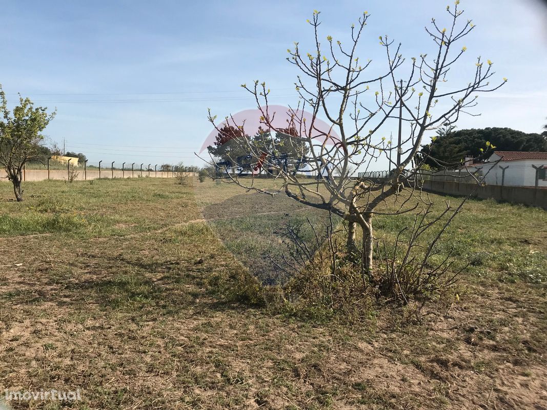 Terreno  para venda