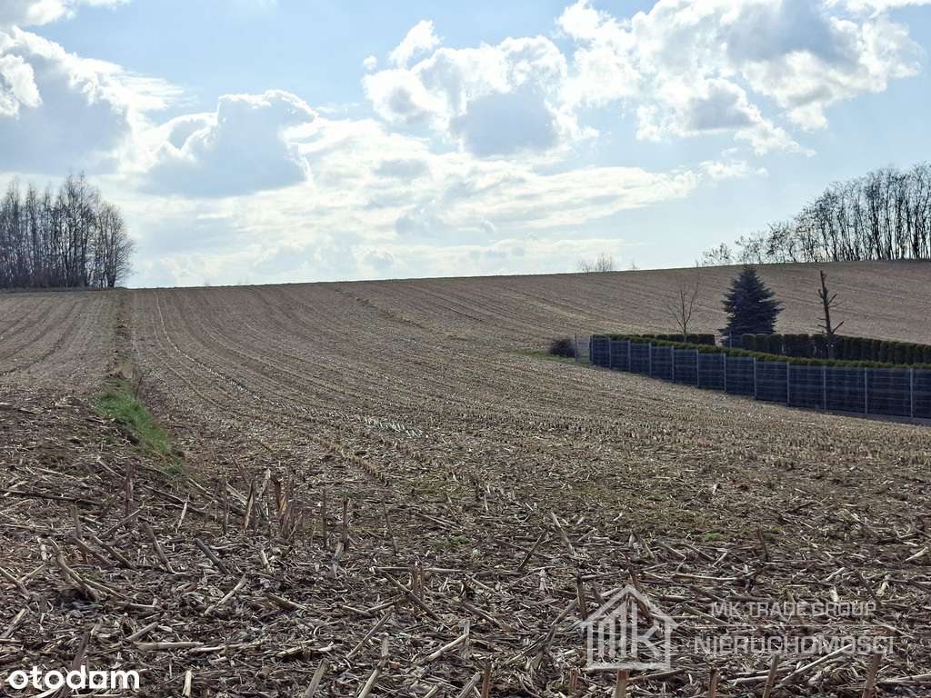 Bodzanów ok. Wieliczki działka bud. 25a MN +56a R - Widok 5