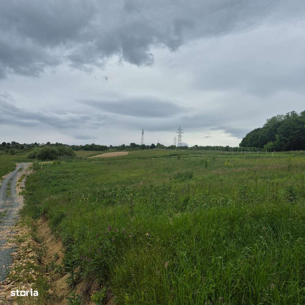 Grosi, 23 ari teren - Imagine principală: 2/3