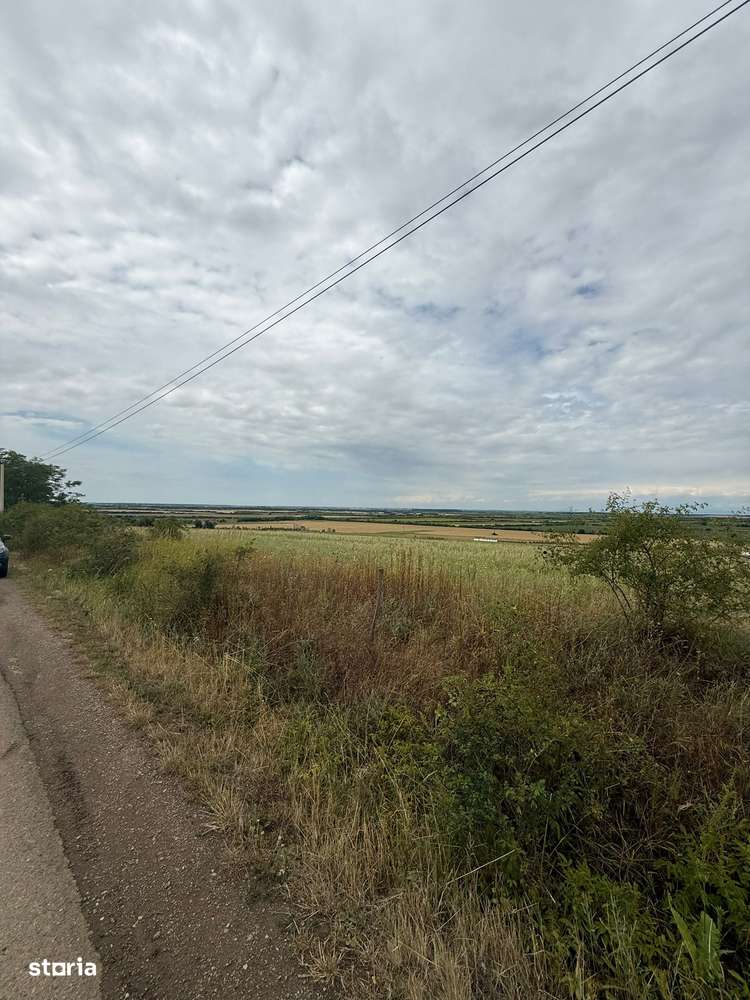 Teren intravilan 2000 mp de vânzare în Ardud, front stradal 36 m-2