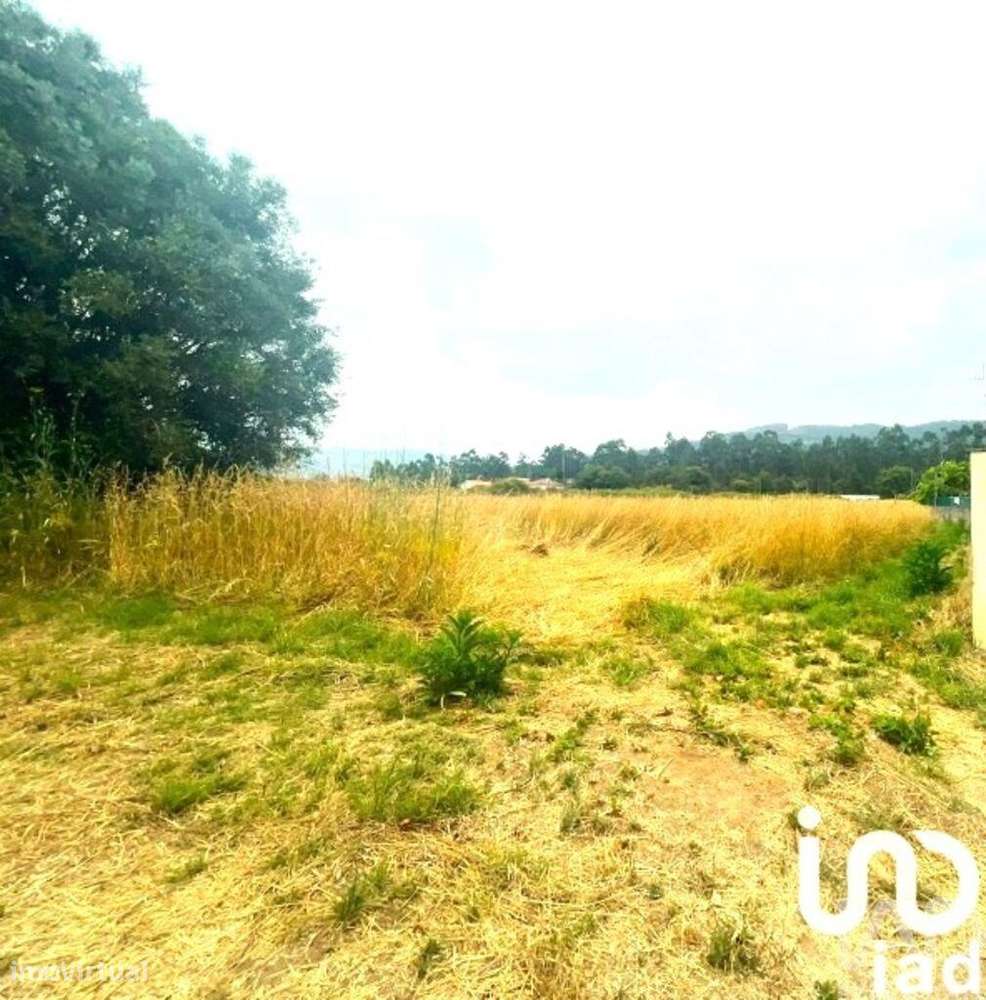 Loja / Estabelecimento Comercial em Geraz Do Lima (Santa Maria, Santa - Grande imagem: 2/2