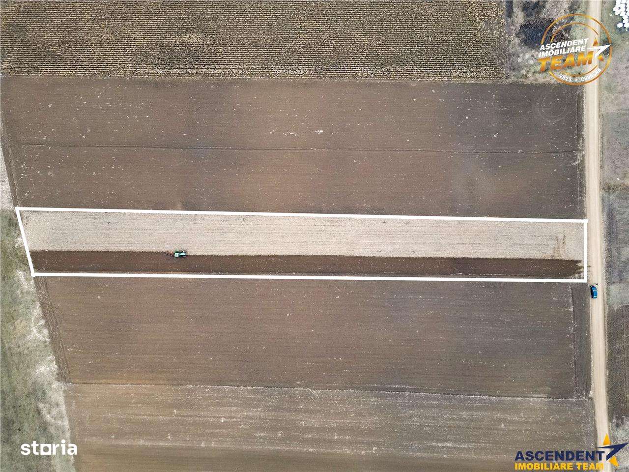 FILM! In areal linistit, acces facil, 4.200 mp  teren extravilan, Cova - Imagine principală: 2/8