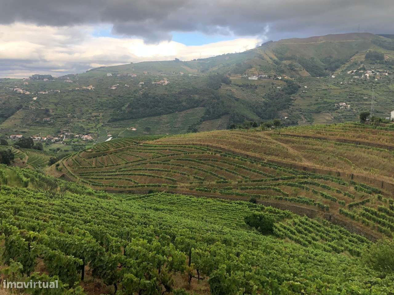 Venda de Quinta - Vistas do rio Douro-11