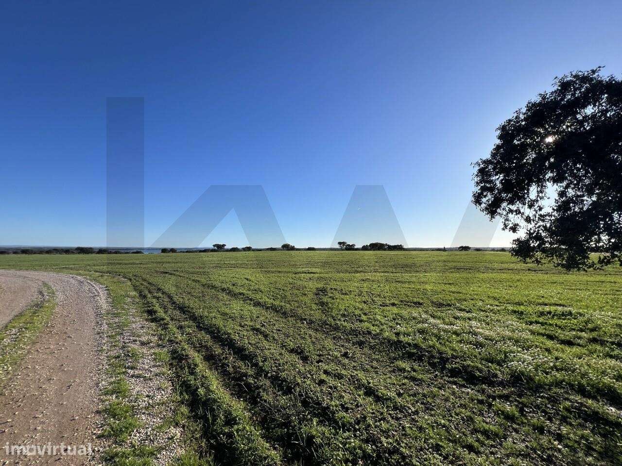 Herdade Exclusiva Junto à Barragem do Alqueva – Investimento Turístico-33