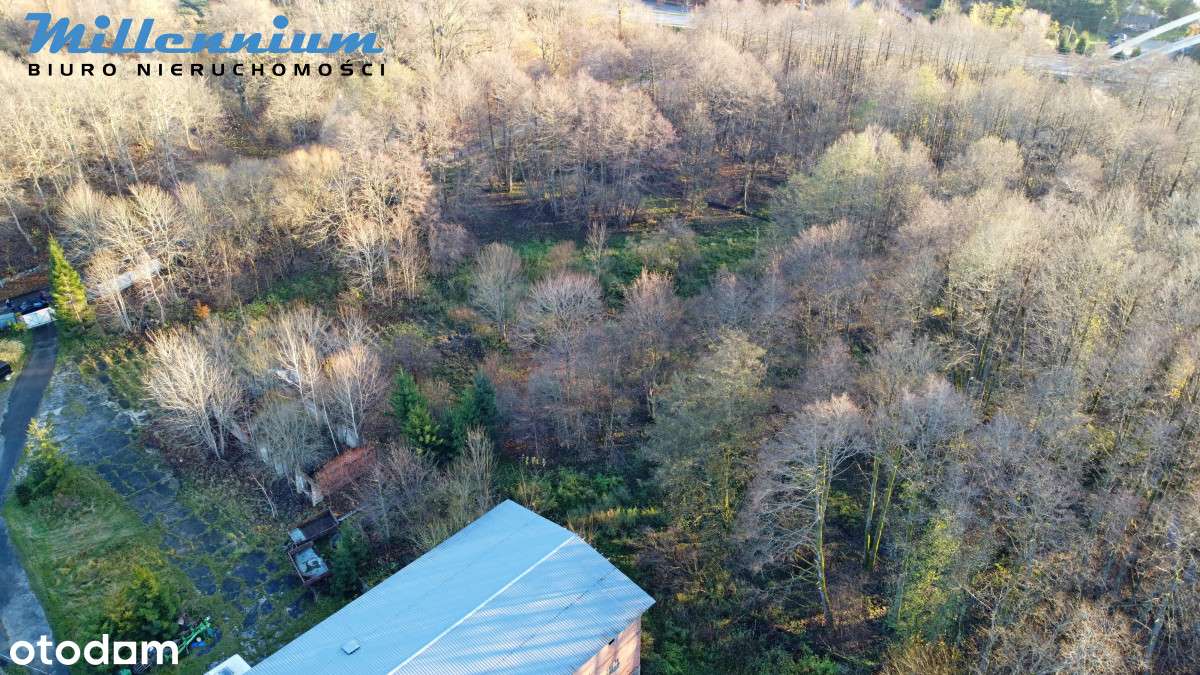 A może chcesz prowadzić spływy kajakowe?-3