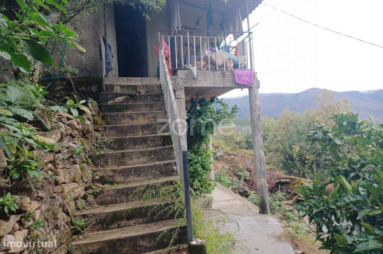 Oportunidade Única: 2 Artigos Urbanos para Obras + 3 Terrenos-Alvite-5