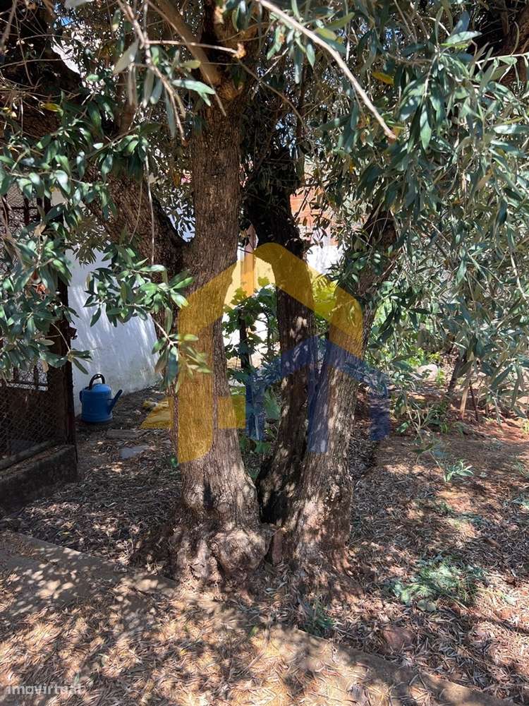 Moradia T4, no centro de Estremoz com quintal-17