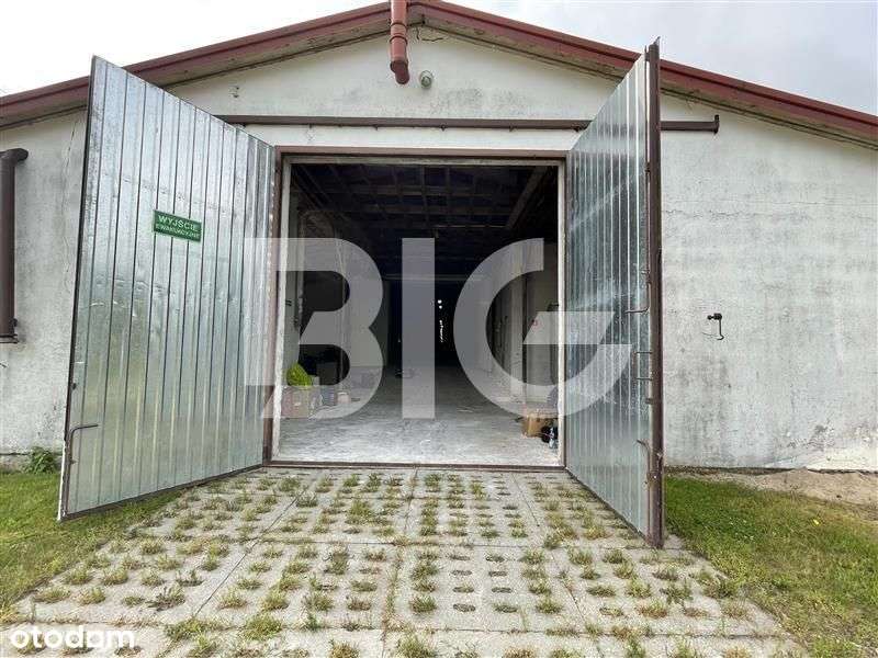 Magazyn, hala produkcyjna. - Pełny obrazek: 5/9