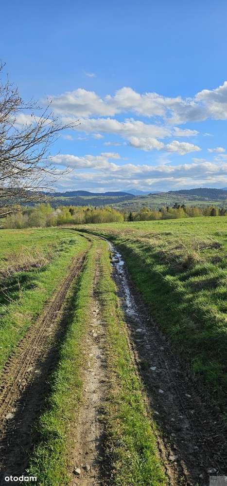 Na skraju wsi z widokiem na Pilsko :) - Pełny obrazek: 4/8