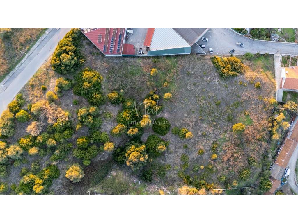 Terreno Vista Mar - Grande imagem: 4/10