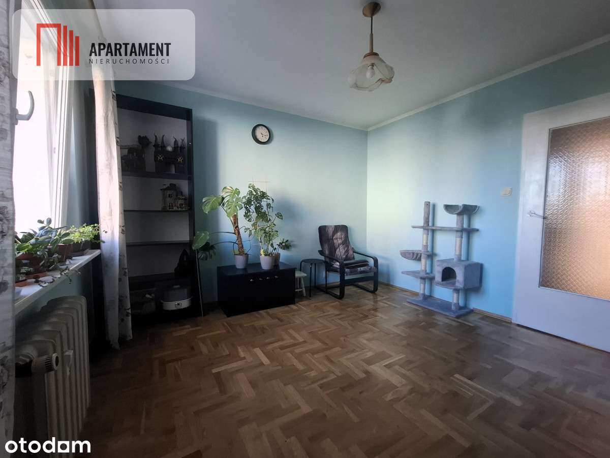 Przestronne trzypokojowe, dobra lokalizacja - Pełny obrazek: 4/13