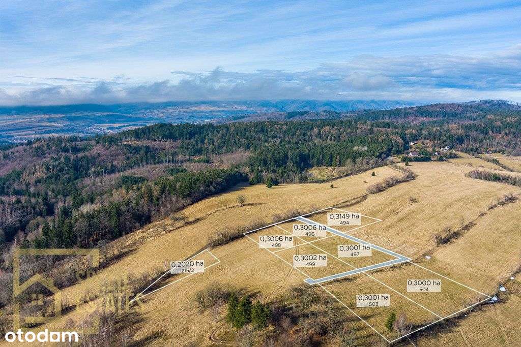 Unikalna Działka z Widokiem na Góry Sowie - Pełny obrazek: 5/7
