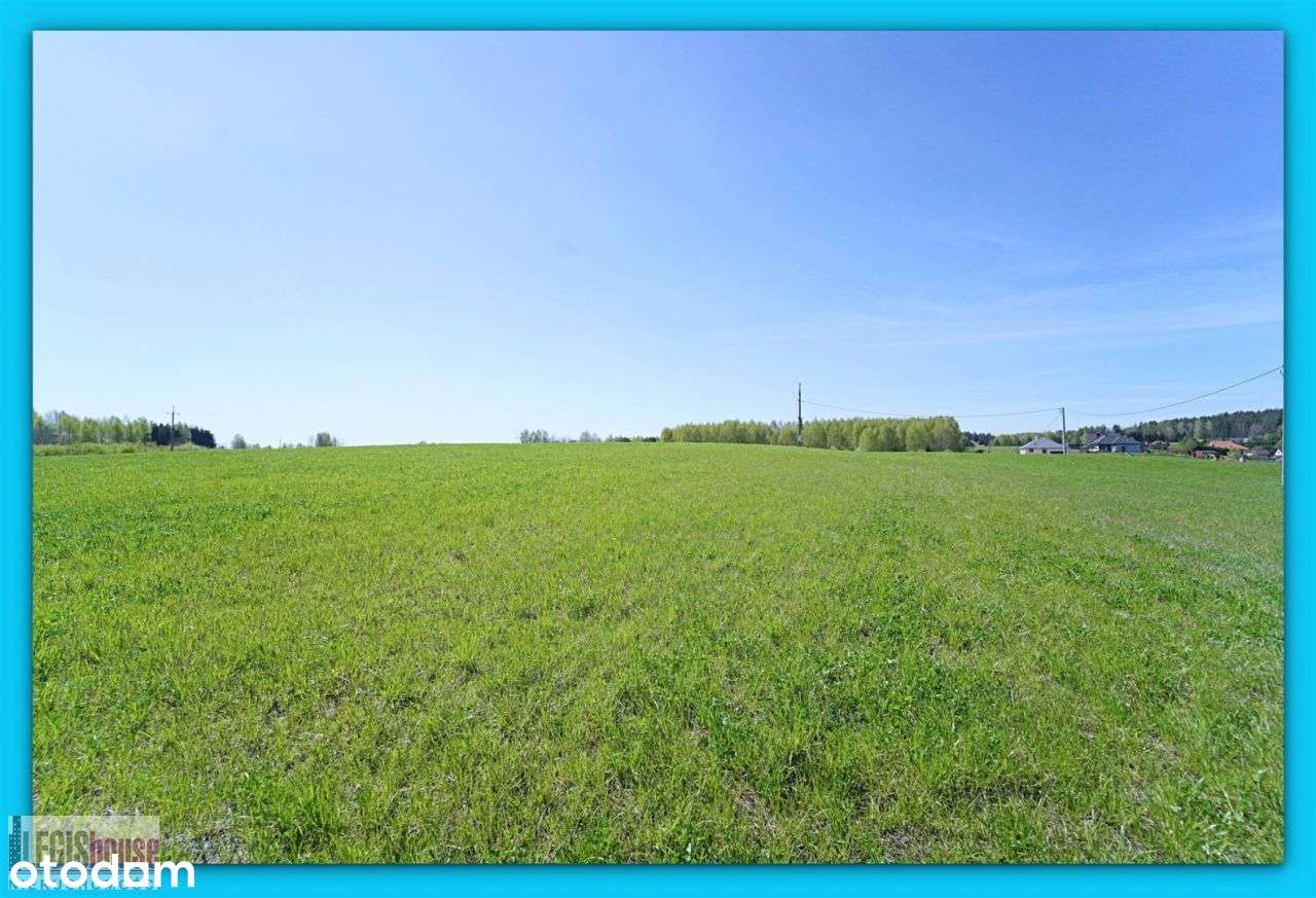 Różnowo* 3004 m2* możliwość podziału na 2 działki - Pełny obrazek: 3/15