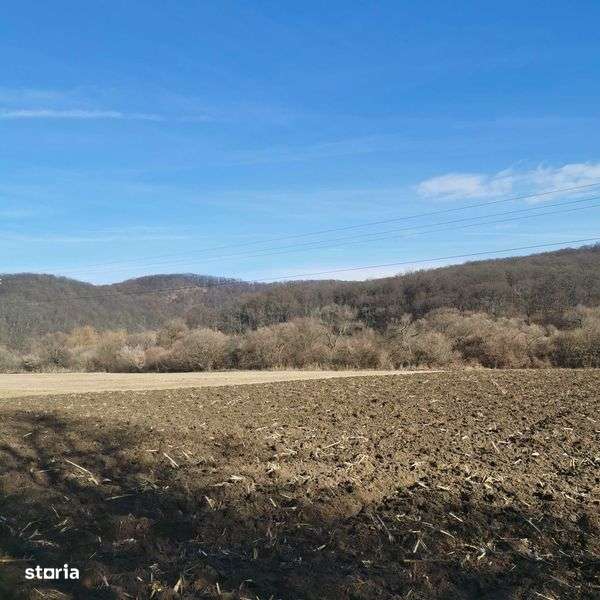 Teren agricol de vanzare  1 Ha - Imagine principală: 4/8