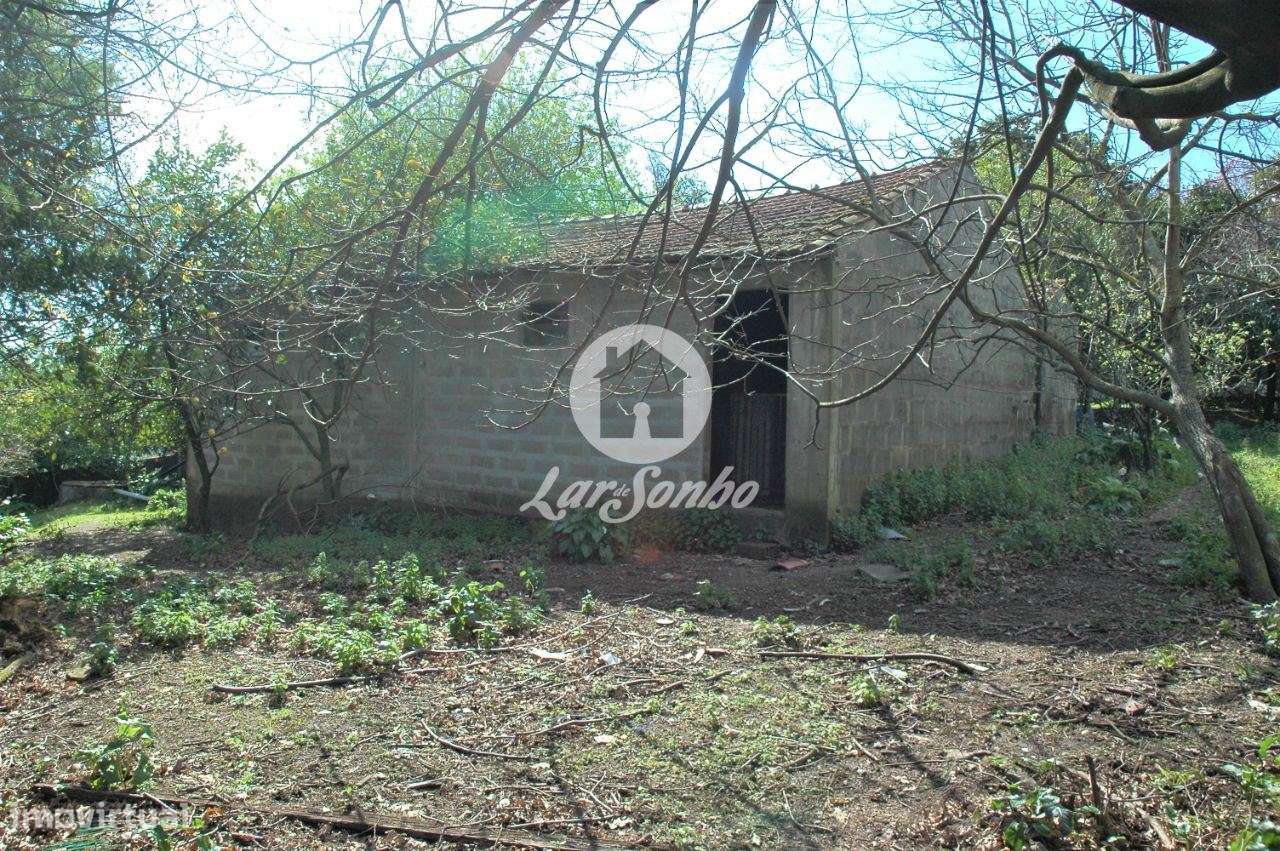 Quintinha com 7.200 m2 para 2 moradias individuais em Brufe - Grande imagem: 4/10