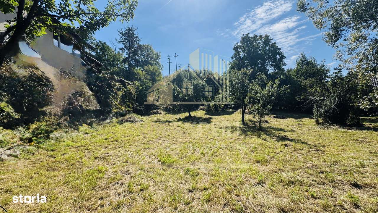 TEREN INTRAVILAN 3234 MP LEREȘTI VOINEȘTI ARGEȘ-8