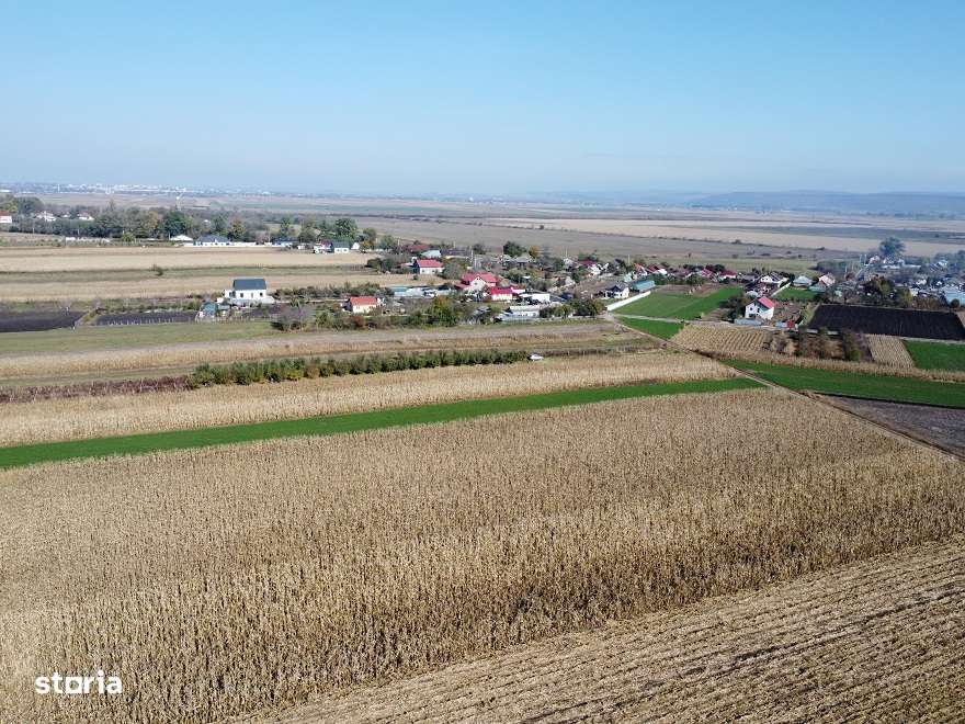 Teren Secuienii Noi /Basta 27900 mp Utilitati 92 ml Deschidere-8