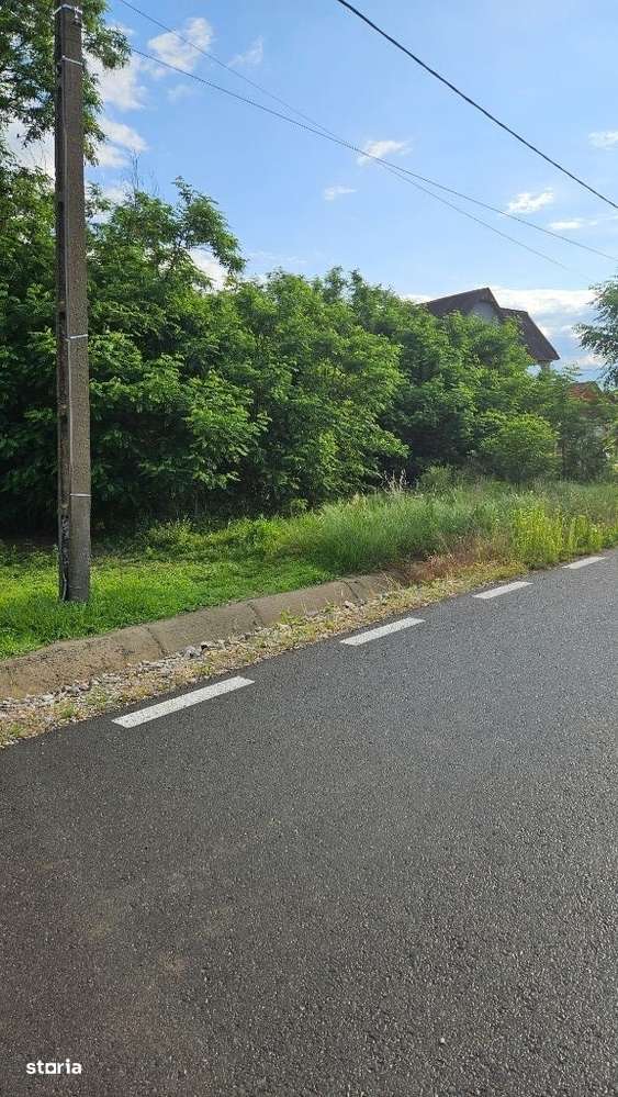 Teren 4520 mp -SACADAT-,27 ml dublu front str,Utilitati,Schita Noua - Imagine principală: 5/7