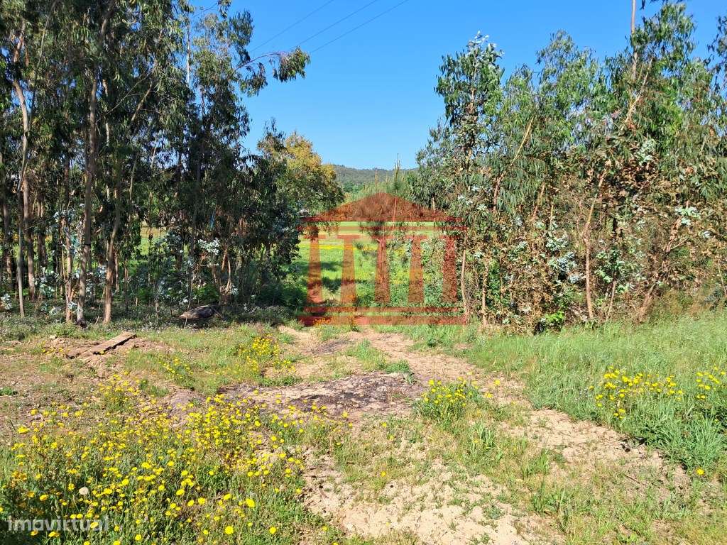 TERRENO PARA CONSTRUÇÃO - MARTIM - BARCELOS-7