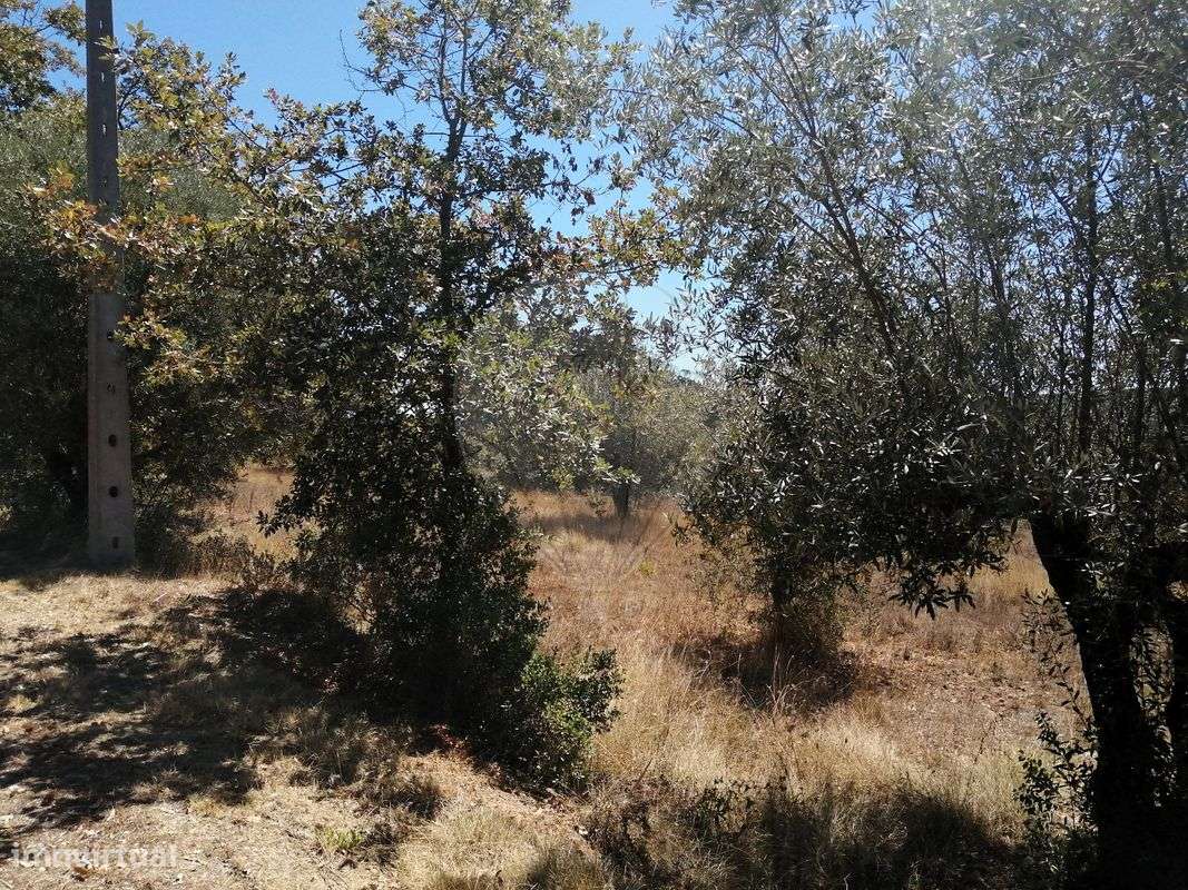 Terreno  para venda - Grande imagem: 4/4