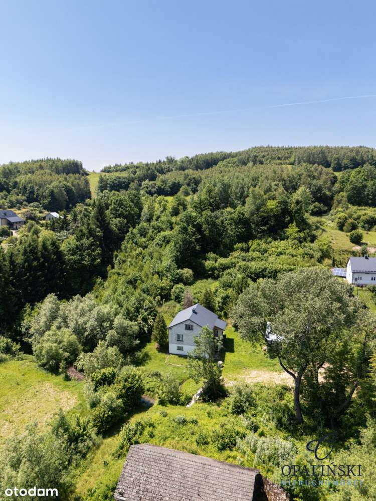 Dom do w otoczeniu zieleni do własnej aranżacji - Pełny obrazek: 5/12