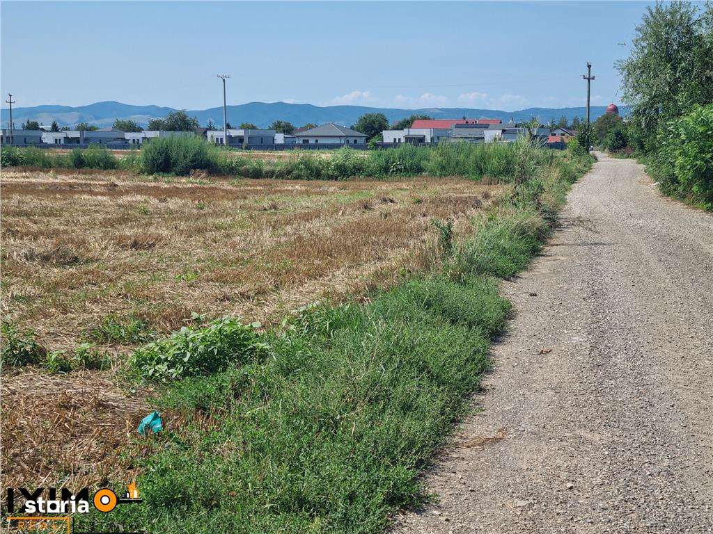 Teren Calea Barladului - Imagine principală: 5/10