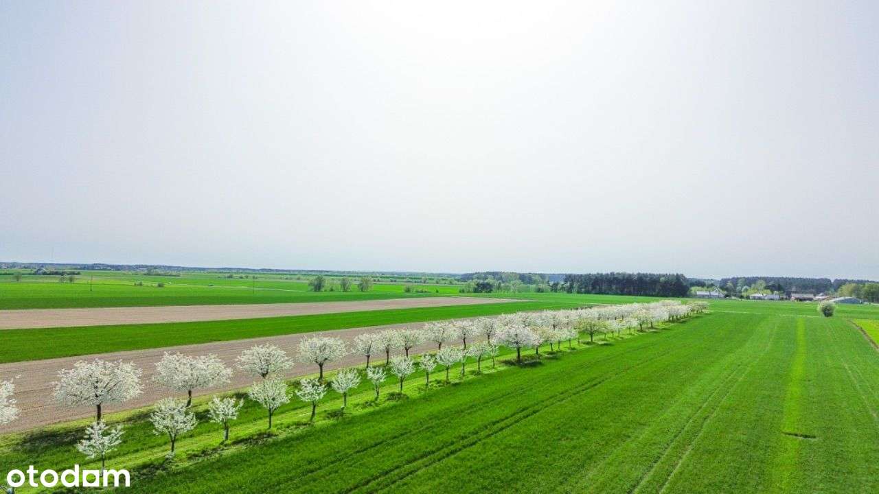 Działki Blisko LASU !4km od CENTRUM! ul. Jagodowa - Pełny obrazek: 4/5