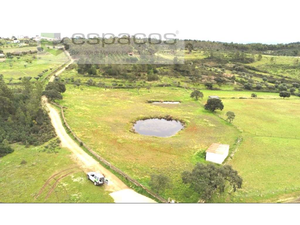 Terreno Rustico com duas barragens - Grande imagem: 4/5