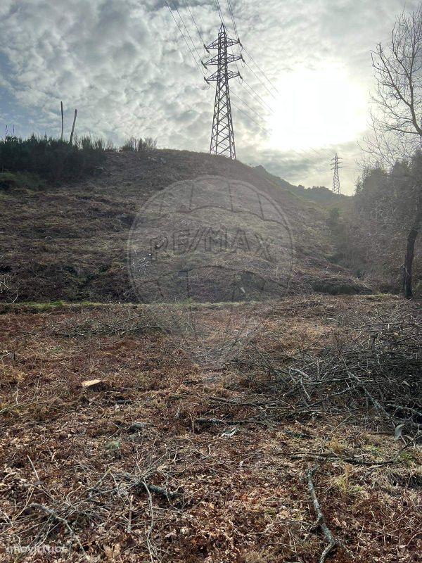 Terreno  para venda