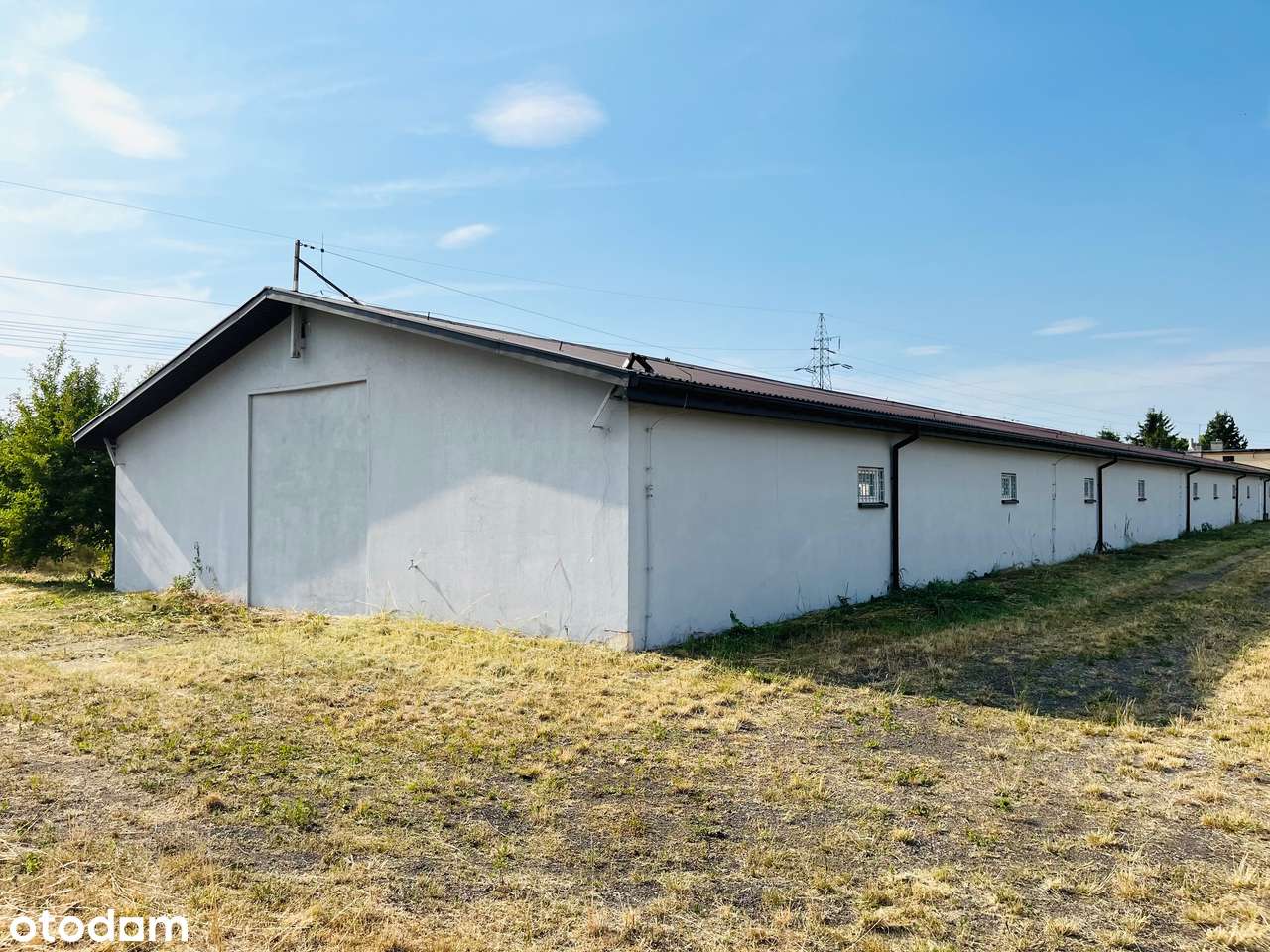 Zmodernizowany magazyn z zapleczem biurowym – 9 km od Warszawy - Pełny obrazek: 3/5