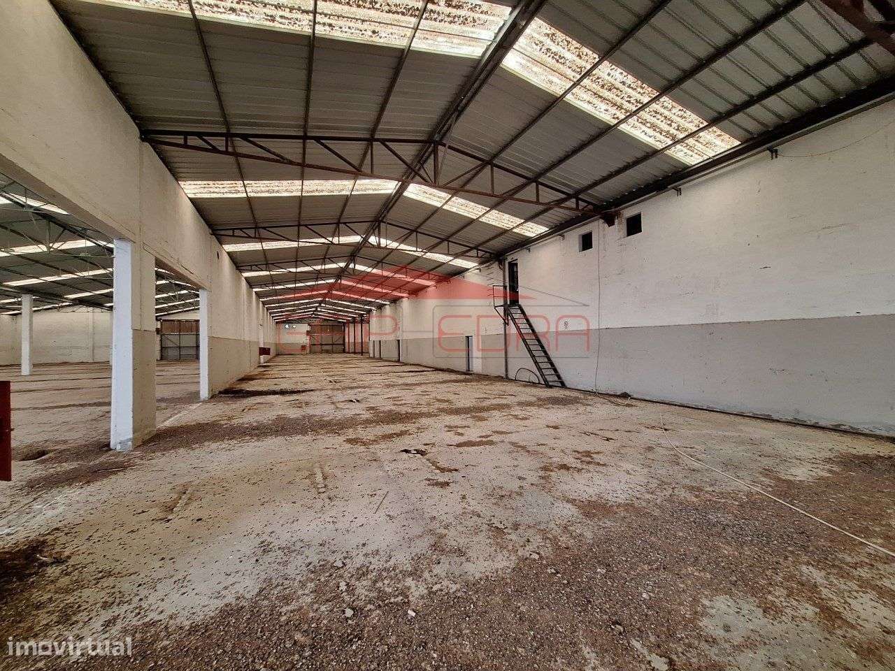 Armazém para comércio ou indústria zona atividades Chamusca Santarém - Grande imagem: 5/40